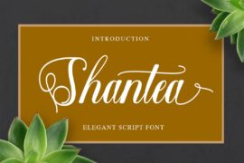 Shantea Script Font