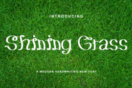 Shining Grass Font
