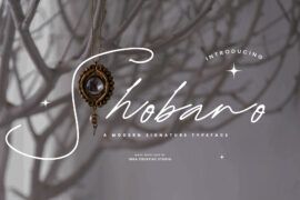 Shobaro Personal Use Font