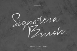 Signotera Brush Font