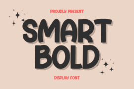 Smart Bold Font