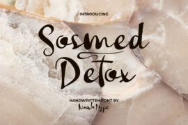 Socmed Detox Demo Font