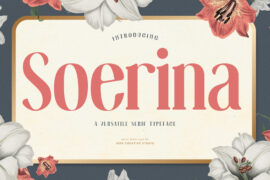 Soerina Personal Use Font