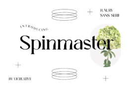 Spinmaster Font