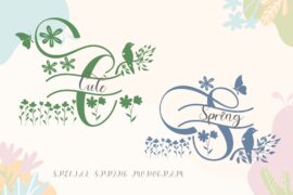 Spring Monogram Font Family