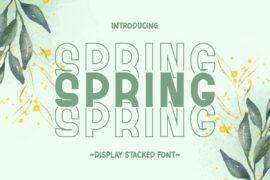 Spring Stacked Font