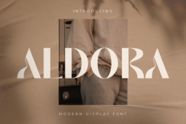 SS Aldora Font