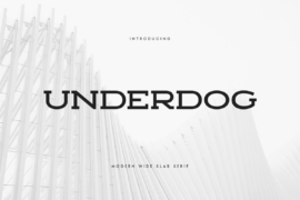 SS Underdog Font