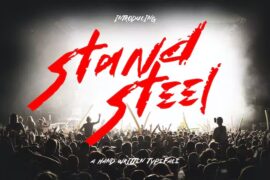StanDSteEL Font