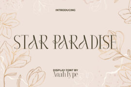 Star Paradise Demo Font