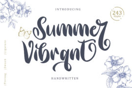 Summer Vibrant – Personal Use Font