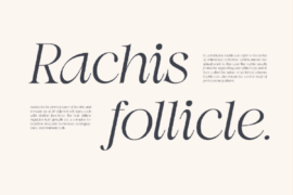 Swily Bright Font
