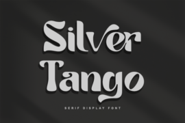 Tango Silver-Personal use Font