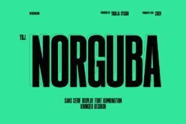 TBJ Norguba Font Family