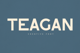 Teagan Font