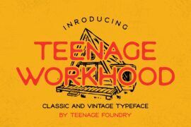 Teenage Workhood Demo Font