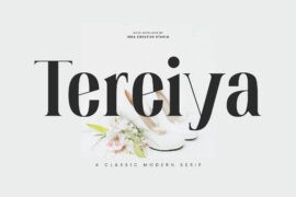Tereiya Personal Use Font