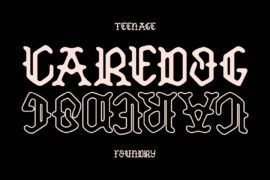 TF Caredog DEMO Font
