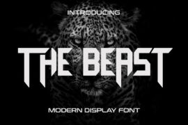 The Beast Font
