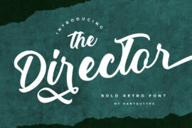 The Director Script Font
