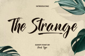 The Strange Demo Font