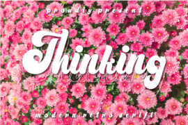 Thinking Script Demo Font