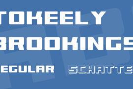 Tokeely Brookings Font Family