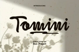 TominiDemo Font