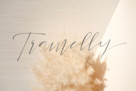 Tramelly Font
