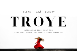 Troye Sans Font