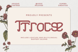 Ttrocse Font