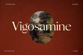 Vigosamine Font