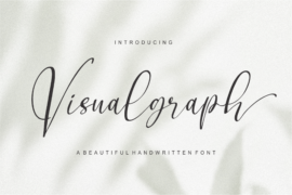 Visualgraph Font