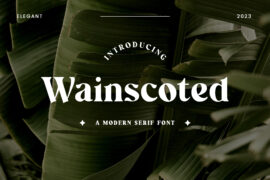 Wainscoted Font