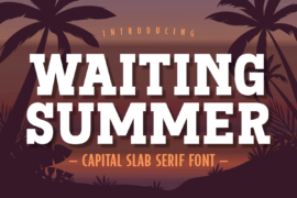 Waiting Summer Font Family