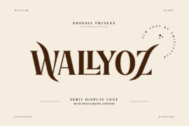 WALLYOZ Trial Font