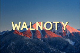 Walnoty Font
