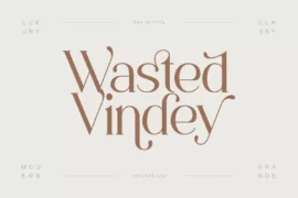 Wasted Vindey Font