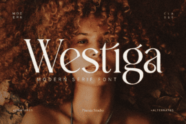 Westiga Demo Font