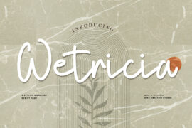 Wetricia Personal Use Font