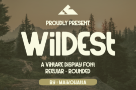 Wildest Font