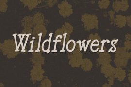 Wildflowers Font