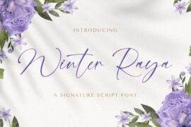 WinterRaya Font