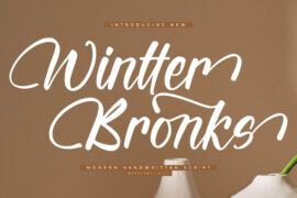 Wintter Bronks DEMO VERSION Font Family