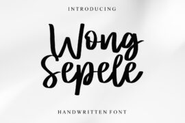 Wong Sepele – Personal Use Font