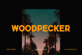 WOOPPECKER Font