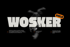 Wosker Demo Font