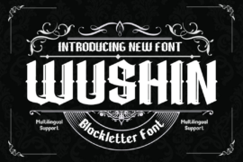 WUSHIN Font