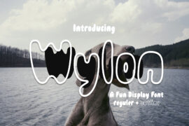 Wylon Outline – Demo Font