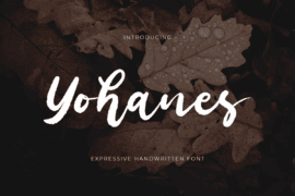 Yohanes Font